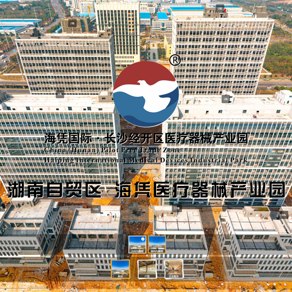 海凭国际·长沙经开区医疗器械产业园 长沙VR全景案例