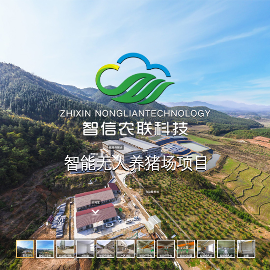 智信农联科技，专注智能养猪 深圳VR全景案例