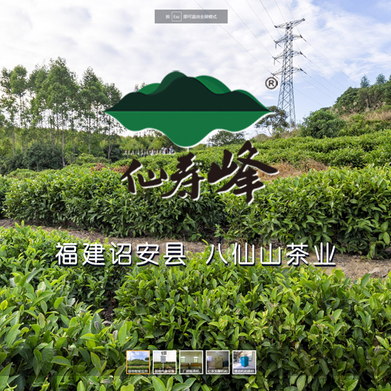 诏安县八仙山茶业有限公司 福建VR全景案例