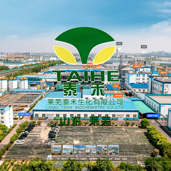莱芜泰禾生化有限公司 山东VR全景案例