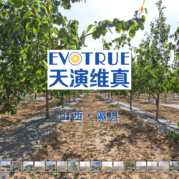 庄上智慧果园