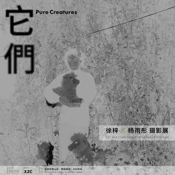 「它们」——  徐梓 x 杨雨彤 摄影展